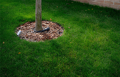 Irrigation & Garden Lighting