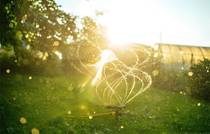 Irrigation & Garden Lighting-3