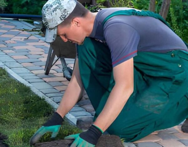 Landscaping
