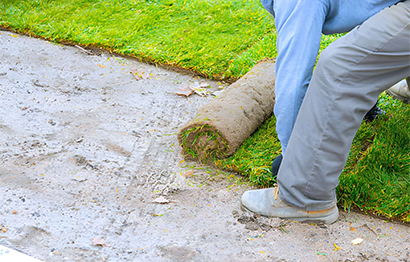 Planting & Turfing