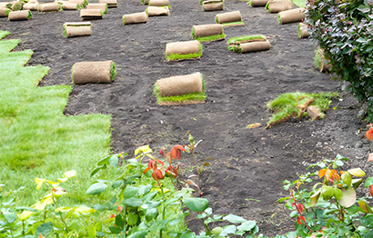 Planting & Turfing-2